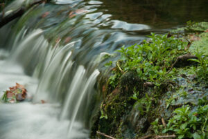 Water running in a stream over moss covered rocks
